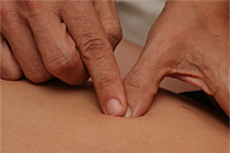 Klicken um zu vergr��ern